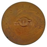 Lengyelország DN "Bem József 1794-1850" kétoldalas bronz emlékérem (70mm) T:AU patina Pola...