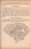 Gazdasszonyok könyve. Háztartási tanácsadó.
Budapest, 1957. Kossuth Könyvkiadó (Egyetemi Nyomda). 3...