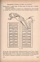 Gazdasszonyok könyve. Háztartási tanácsadó.
Budapest, 1957. Kossuth Könyvkiadó (Egyetemi Nyomda). 3...
