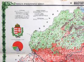 [Térkép] Magyarország néprajzi térképe (Carte ethnographique de la Hongrie). Tervezte Kogutowicz Kár...