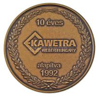 2002. "KAWETRA Villamoscikk Gyártó és Kereskedelmi Kft." bronz emlékérem dísztokban (50mm)...