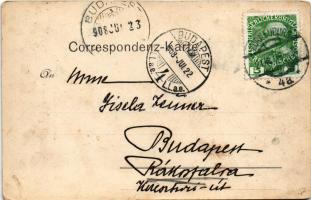 1908 Struden, Schusterstein mit Ruine Werfenstein (EK)