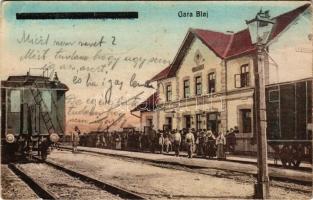 Balázsfalva, Blasendorf, Blaj; vasútállomás, vonat. Vasúti levelezőlapárusítás 134. / railway station, train (EK)