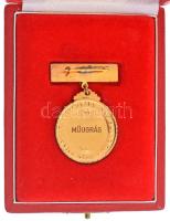 1989. "Magyar Népköztársaság Bajnoka" kétoldalas, aranyozott bronz díjérem eredeti tokban,...