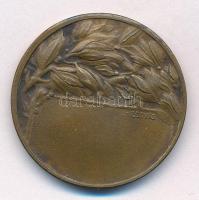 ~1930. "Újpesti Torna Egyesület 1885" kétoldalas bronz emlékérem hátoldalán "LUDVIG B...