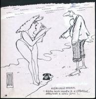 Rau Tibor (1934-2009), 2 db karikatúra: "A képviselő nyaral" és Menekülő halál (cím nélkül). Tus, papír, mindkettő jelzett. Egyik hátoldalán "Ludas" és "Magyar N. elfogadva", másik hátoldalán "Ludas Matyi (...)" felirattal. 30x21 cm körüli méretekben.