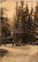 1915 Előpatak-gyógyfürdő, Valcele; Erdei sétatér részlet, Szegedi pihenő. Kiadja Berko Lipót kiadása / forest, resting place