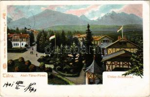 1901 Alsótátrafüred, Tátrafüred, Unter-Schmecks, Dolny Smokovec (Magas-Tátra, Vysoké Tatry); látkép. Feitzinger Ede 41bt. Auto-Chrom / general view (EK)