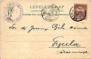 1901 Alsótátrafüred, Tátrafüred, Unter-Schmecks, Dolny Smokovec (Magas-Tátra, Vysoké Tatry); látkép....