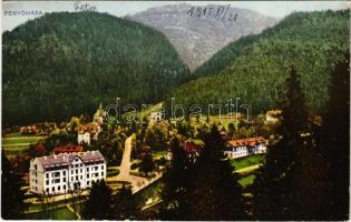 1915 Fenyőháza, Lubochna; látkép / general view