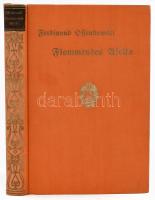 Ossendowski, Ferdinand: Flammendes Afrika. Quer durch Marokko. Berlin, é.n., Paul Franke Verlag, 358+(2) p. Német nyelven. Kiadói egészvászon-kötés.