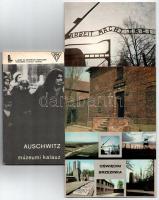 Oswiecim, Auschwitz - 9 db modern képeslap a zsidó koncentrációs táborról, Judaika + 1 magyar nyelvű múzeumi kalauz füzet