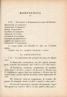 Kozaryn, Zofia: 
La lingua polacca. Grammatica - Esercizi - Letture.
Torino, (1938). Societa Editr...