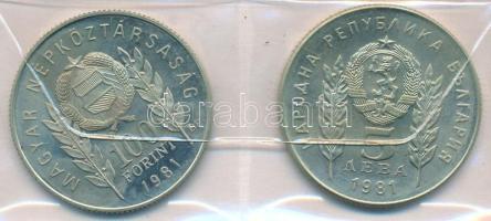 1981. 100Ft Cu-Ni-Zn + Bulgária 5L Cu-Ni-Zn "Bulgária 1300 éves" magyar-bolgár közös kiadá...