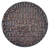 Peternák Gusztáv (1928- ) 1973. "Esztergom" kétoldalas bronz emlékérem (37mm) T:AU patina