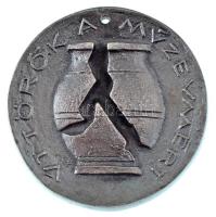 ~1970. &quot;Úttörők a múzeumért&quot; egyoldalas, öntött, ezüstözött bronz emlékérem, lyukkal, hátoldalán &quot;1&quot; beütéssel (74mm) T:XF