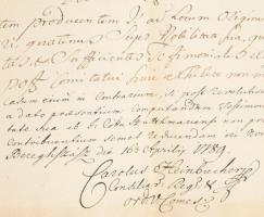 1785 A báró batári Kovásznay család nemességével kapcsolatos okmányok. Ugocsa vármegyei gyűlés Nagys...