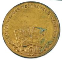 Csehszlovákia ~1930. "Jövődet ép tested védi / Csehszl. Magyar Testnevelő Szövetség" bronz...