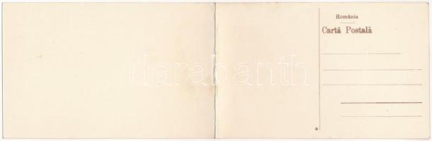 Ada Kaleh, Vedere generala / 2-részes kinyitható panorámalap / 2-tiled folding panoramacard