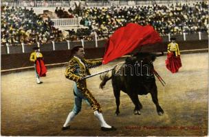 Vicente Pastor pasando de muleta / Spanish folklore, bullfight, matadore