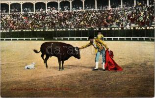 Antonio Fuentes jugando con el Toro / Spanish folklore, bullfight, matadore