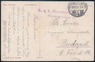 1918 Tábori posta képeslap "K.u.k. Sturmbataillon / Sturmkompagnie 12."