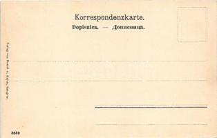 Sarajevo, Strassenscene / street view, Bosnian folklore (fl)