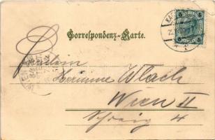 1903 Karlovy Vary, Karlsbad; (EB)
