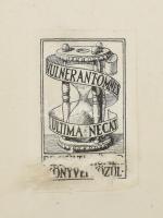 Werner Gyula: A pipacsszínű dolmány. Történelmi regény. A szerző, Werner Gyula (1862-1926) író, orsz...