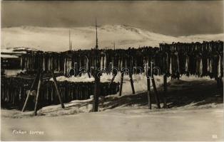 1935 Fisken torres / Norwegian fish drying