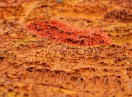 Stanley Donald Tschopp (1935-): Kígyózó formák, 1968. Olaj, vászon, jelzett a hátoldalán. 52x67 cm. ...