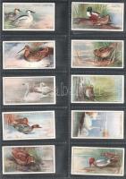 Player's Cigarettes angol cigaretta-gyűjtőképek, 50 db-os komplett sorozat (vadon élő madarak),...