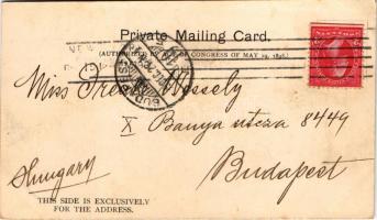 1899 (Vorläufer) New York City, Broadway, trams (fl)