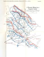 Nagy Vilmos, nagybaczoni vitéz: 
A Románia elleni hadjárat 1916-1917. II. kötet: Havasalföld meghód...