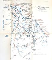 Nagy Vilmos, nagybaczoni vitéz: 
A Románia elleni hadjárat 1916-1917. II. kötet: Havasalföld meghód...