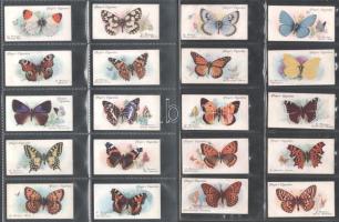 Player's Cigarettes angol cigaretta-gyűjtőképek, 50 db-os komplett sorozat (pillangók), albumlapokon / English cigarette collectible pictures, complete series of 50 (Butterflies), in album sheets