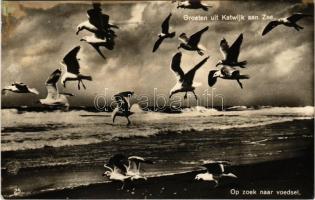 1933 Katwijk aan Zee, Op zoek naar voedsel / seagulls looking for food (glue mark)