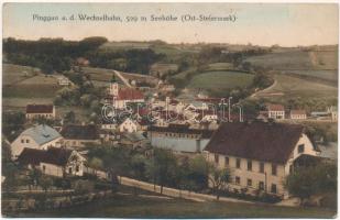 Pinggau (Steiermark), general view (wet damage)