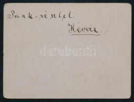 cca 1905 Hévíz pavilon a parkban keményhátú fotó 12x9 cm