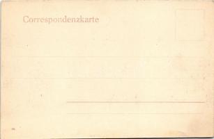 Graz (Steiermark), gegen Westen / general view, bridge