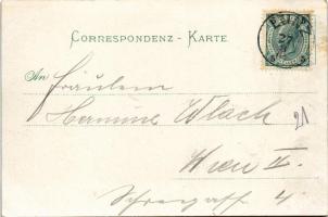 Lunz am See, general view (EK)