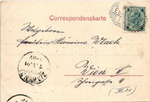 1901 Ebensee am Traunsee, Ebensee mit Traunausfluss (EK)