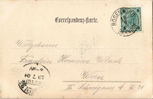 1901 Rosenburg am Kamp, castle. photo (fl)