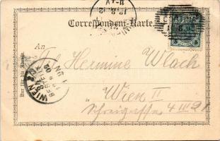 1902 Cortina d'Ampezzo, general view (tear)