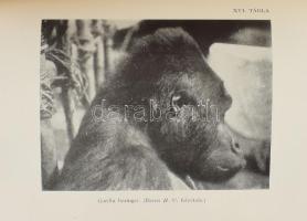 Gregory K. W. - Raven C. H.: Gorillák nyomában. Ford.: Szent-Ivány József. Bp., 1940, Kir. M. Termés...