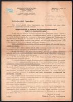 cca 1930-1940 Surányi sziget üdülő- és nyaralótelepének térképes reklámismertetője a Magyar Evezős Szövetség kiadásában, 2p