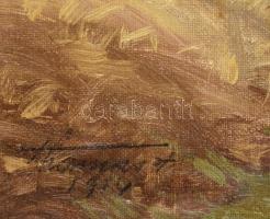 Olvashatatlan jelzéssel, magyar festő: Tabáni részlet, 1924. Olaj, vászon, kartonon. 52x68 cm. Antik...