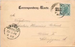 1901 Kaltenleutgeben, general view