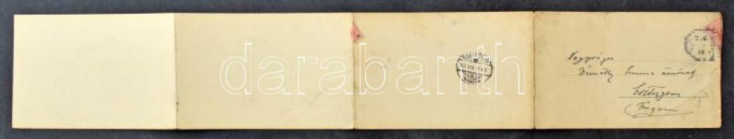 1902 Merano, Meran (Südtirol); 4-tiled folding panoramacard (tears)