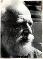 Szász János (1927-) költő, író, műfordító, újságíróról készült felvételek, 5 db, ázásnyomokkal, folt...